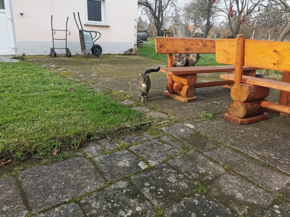 Wellness Oase Auf Dem Land Villa Buttstadt Exterior photo